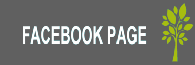 Facebook page